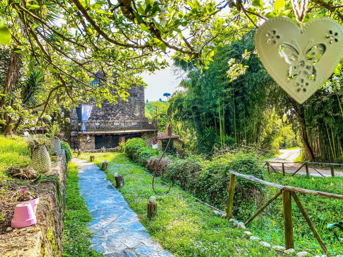 Guest House Antico Frantoio Pietrasanta Affittacamere Exterior foto