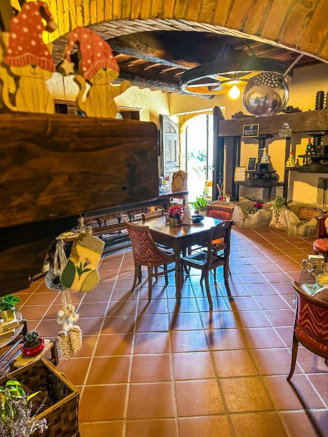 Guest House Antico Frantoio Pietrasanta Affittacamere Exterior foto
