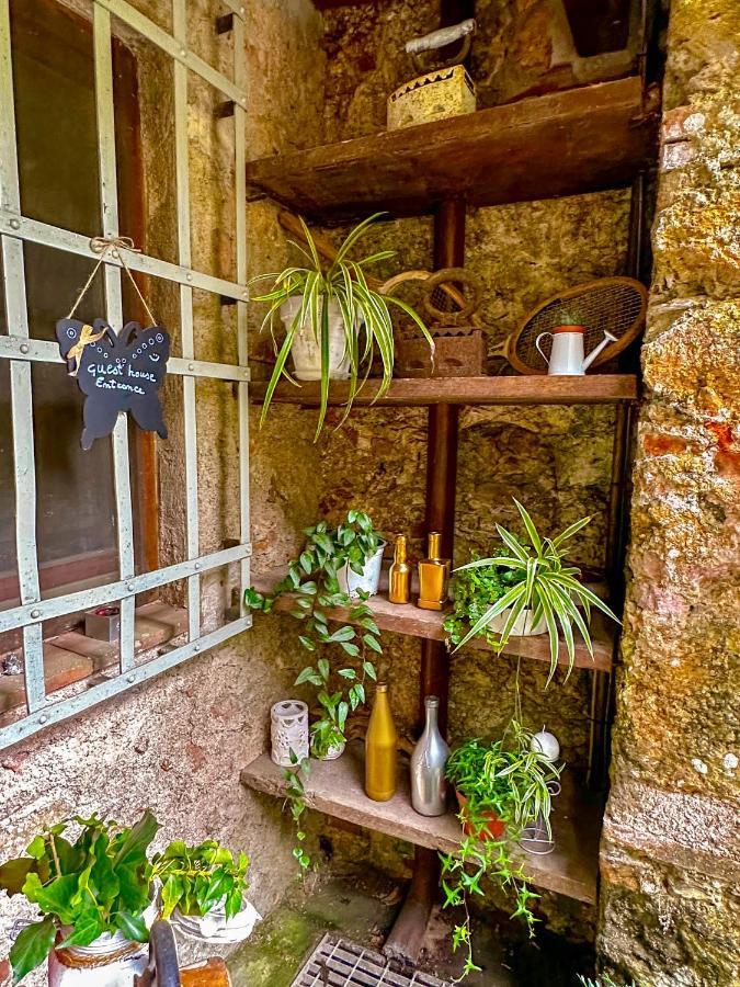 Guest House Antico Frantoio Pietrasanta Affittacamere Exterior foto