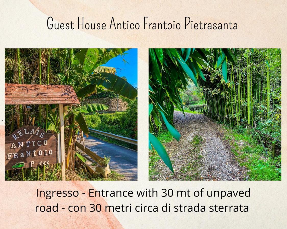 Guest House Antico Frantoio Pietrasanta Affittacamere Exterior foto
