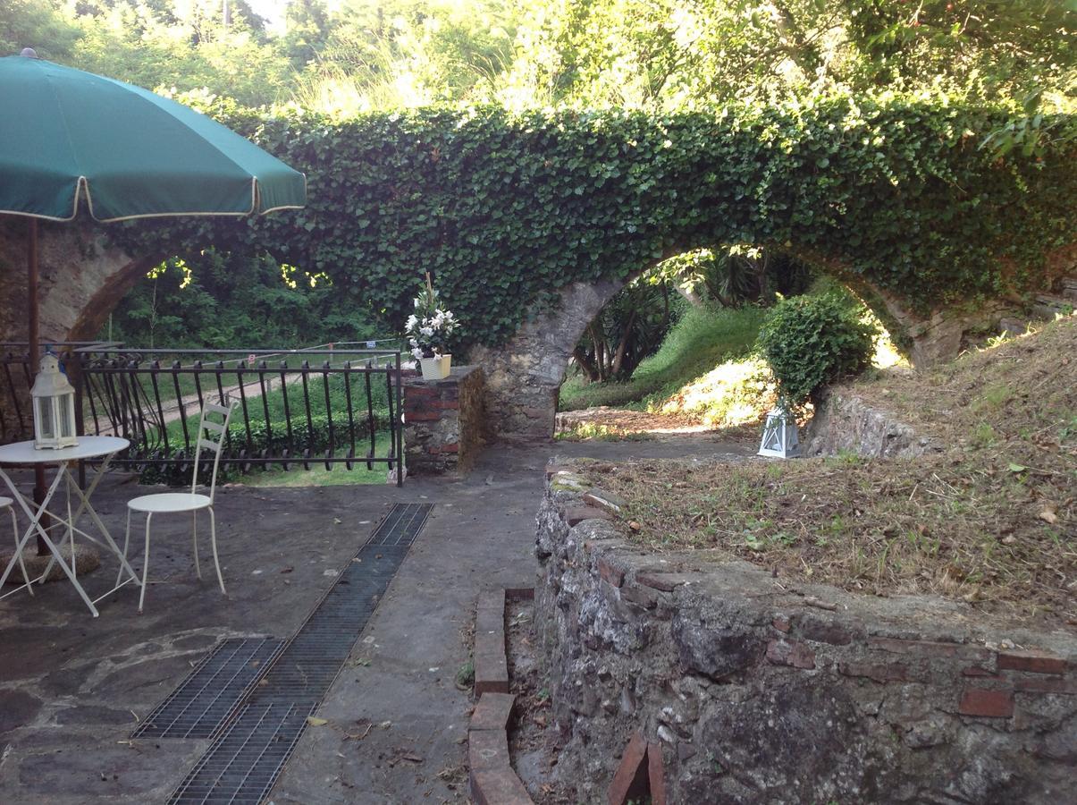 Guest House Antico Frantoio Pietrasanta Affittacamere Exterior foto